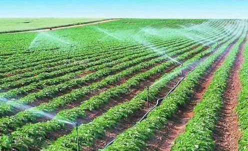 好逼色视频农田高 效节水灌溉